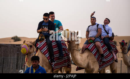 Les Marines américains de la 11e Marine Expeditionary Unit participent à une visite culturelle, à cheval sur des chameaux lors d'une visite portuaire aux Émirats arabes Unis, offrant un engagement récréatif et culturel pour le personnel. Banque D'Images