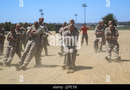 Les recrues de l'entreprise Delta, 1er bataillon de formation des recrues, conduite buddy traîne pendant Parcours II au Marine Corps Recruter Depot San Diego, le 20 avril. Les recrues a effectué divers exercices en attendant le reste des recrues à la fin de l'événement. Chaque année, plus de 17 000 hommes recrutés dans la région de recrutement de l'Ouest sont formés à MCRD San Diego. Delta Entreprise est prévue pour juin 30 diplômés. Banque D'Images