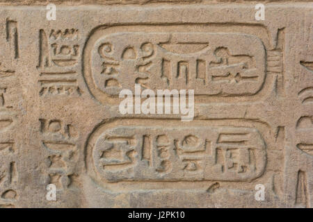 L'Égypte ancienne d'hiéroglyphes gravés sur la pierre. Détail de mur du temple en Égypte. Banque D'Images