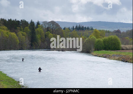 La pêche à la mouche sur la rivière Beauly près d'Inverness Ecosse Banque D'Images