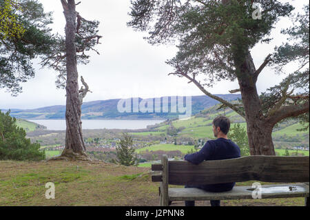 Dans Balmacaan point Woodland Trust bois donnant sur Inverness Ecosse Drumnadrochit Banque D'Images