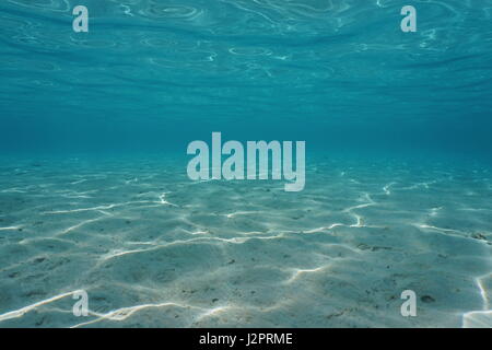 Fond de sable et de la surface de la mer sous l'eau dans un lagon tropical, l'océan Pacifique, scène naturelles, Polynésie Française Banque D'Images