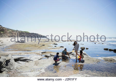 La famille Latino jouant dans la piscine de marée sur la plage ensoleillée craggy