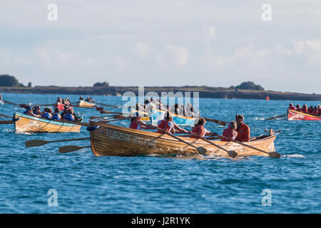 L'Assemblée mondiale des îles Scilly gig pilotes championnats, avril, 2017 Banque D'Images