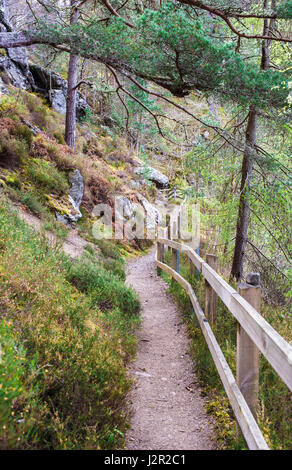 Allée menant à la cascade de foyers Banque D'Images