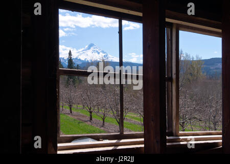 Belle impressionnant paysage de printemps avec verger et la montagne enneigée derrière l'ancienne fenêtre en bois sans vitre Banque D'Images