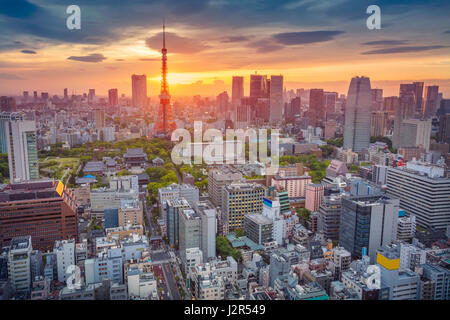 Tokyo. Cityscape de droit de Tokyo, au Japon pendant le coucher du soleil. Banque D'Images