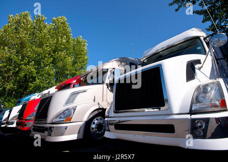 Camions semi modernes colorés alignés dans une rangée sur un arrêt de camion et camion a démontré les capots sont composés d'une calandre, phares, pare-chocs Banque D'Images