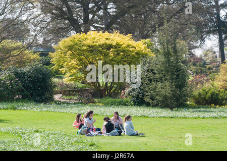 Pique-nique en famille dans la Royal Horticultural Society's garden à Wisley, Wisley, Surrey, Angleterre, Royaume-Uni Banque D'Images