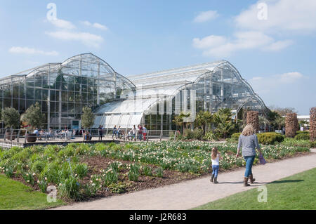 La serre à la Royal Horticultural Society's garden à Wisley, Wisley, Surrey, Angleterre, Royaume-Uni Banque D'Images