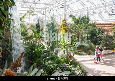 La serre à la Royal Horticultural Society's garden à Wisley, Wisley, Surrey, Angleterre, Royaume-Uni Banque D'Images