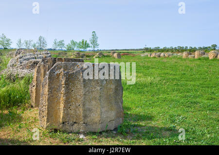 Parc archéologique. Metaponto. La Basilicate. L'Italie. Banque D'Images