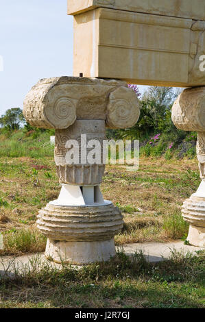Parc archéologique. Metaponto. La Basilicate. L'Italie. Banque D'Images