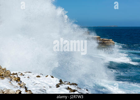 Antigua, Océan Atlantique littoral rocheux avec vagues blanc Banque D'Images