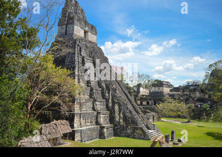 Je temple du site archéologique maya au parc national de Tikal, Guatemala Amérique centrale. Banque D'Images