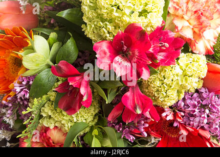 Floral Background, fleurs de printemps. Banque D'Images