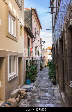 Rue étroite avec les pots de fleurs dans le quartier Ribeira dans l'ancienne partie de la ville de Porto sur la péninsule ibérique, deuxième plus grande ville du Portugal Banque D'Images