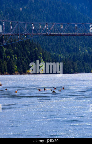 Kayaks et canots flottaient sur la rivière Columbia sunshine dans la Columbia Gorge pittoresque avec des montagnes couvertes d'arbres verts et la lumière délicate Banque D'Images