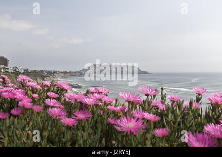 Lima Pérou, paysage urbain, Paysage, Île, Côte et Riff Banque D'Images