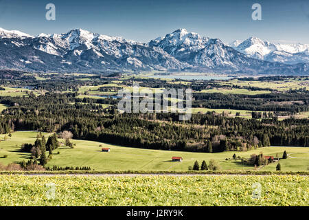 Vue panoramique sur les Alpes de l'Allgäu au printemps Banque D'Images