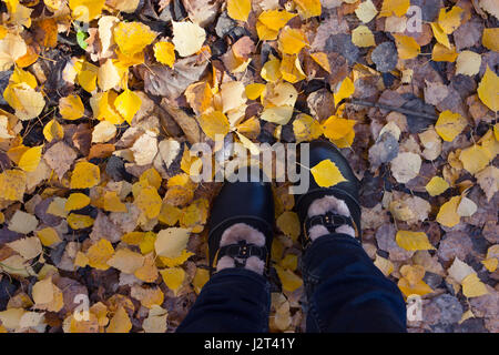 Les jambes des femmes en chaussures sombre debout sur une des feuilles d'automne jaune d'autumn park Banque D'Images