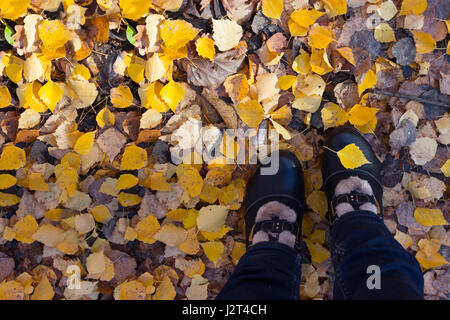 Les jambes des femmes en chaussures sombre debout sur une des feuilles d'automne jaune d'autumn park Banque D'Images