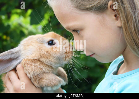 Une petite fille possède un jeune lapin nain Banque D'Images