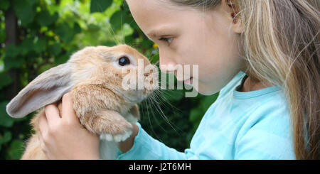 Une petite fille possède un jeune lapin nain Banque D'Images