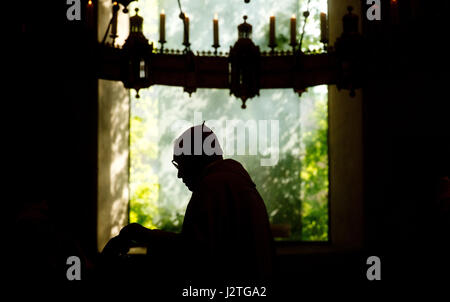 Hildesheim, Allemagne. 01 mai, 2017. La silhouette de Norbert Trelle en face de l'old rose bush à la cathédrale au cours d'un service d'église à Hildesheim, Allemagne, 01 mai 2017. Avec un culte, l'Évêque Norbert Trelle a célébré son anniversaire des évêques d'argent. Trelle a été ordonné évêque, il y a 25 ans. À l'âge de 75 ans, il présentera sa démission au Pape au début de septembre. Photo : Julian Stratenschulte/dpa/Alamy Live News Banque D'Images