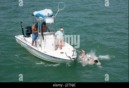 Un jeune homme à l'aide d'un appât pour pêche épervier tombe du bateau avec le net.Golfe du Mexique au sud de la Floride USA 2017 Banque D'Images