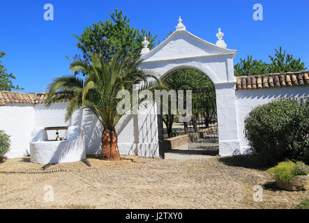 Entrée de cour de ferme traditionnelle, Cuevas Cortijo del Marques, Rio Setenil vallée, Serrania de Ronda, Espagne Banque D'Images