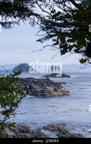 Côte d'Ucluelet, Vancover Island (Colmbia Canada Banque D'Images