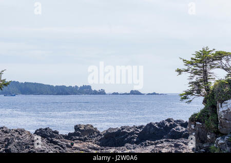 Côte d'Ucluelet, Vancover Island (Colmbia Canada Banque D'Images