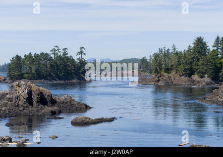 Côte d'Ucluelet, Vancover Island (Colmbia Canada Banque D'Images