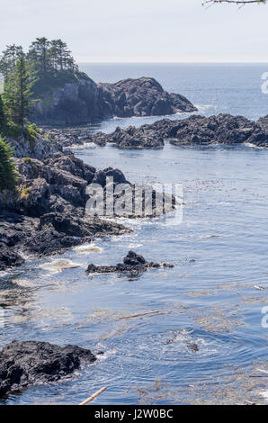 Côte d'Ucluelet, Vancover Island (Colmbia Canada Banque D'Images