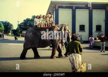 Belle Vue Zoo, Manchester (Royaume-Uni) à partir d'une image vintage prise en août 1963 montrant une promenade à dos d'éléphant au zoo Banque D'Images