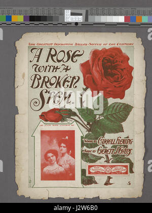 Une rose avec une tige cassée (NYPL Hadès-1933290-1997092) Banque D'Images