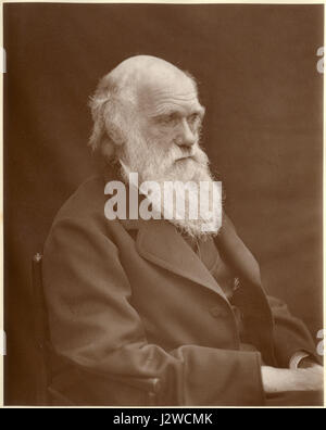Cette photographie, prise par Leonard de Woodall en 1878, représente Charles Darwin, naturaliste de renom, connu pour sa théorie de l'évolution par sélection naturelle. L'image donne un aperçu de sa vie et de ses contributions à la science. Banque D'Images