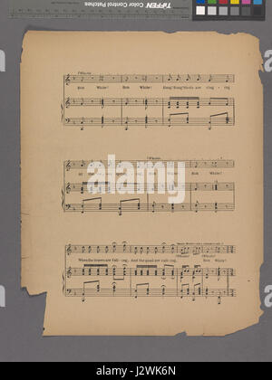 Bob White - Quail Song est un appel bien connu de la caille Bobwhite du Nord, souvent reconnu pour son sifflet distinctif. Cette espèce d'oiseau est originaire d'Amérique du Nord et est célébrée pour ses vocalisations, souvent entendues dans les zones rurales ou boisées. Banque D'Images