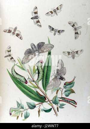 Ce titre fait référence à une entrée ou à un identifiant spécifique, éventuellement lié à un document scientifique ou médical, à une étude ou à un ensemble de données. Le code BMAT1-1584 peut être lié à un projet ou à un article de recherche biologique, médicale ou technique. Banque D'Images