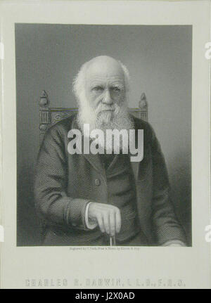 Une gravure de Charles Darwin, créée par C. Cook d'après le portrait d'Elliott & Fry, capture le scientifique estimé dans ses dernières années, symbolisant ses contributions à la théorie de l'évolution. Banque D'Images