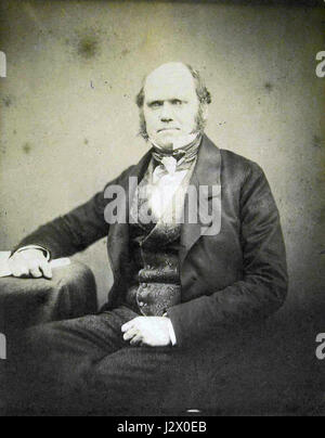 Cette photographie de Charles Darwin de 1855 capture le naturaliste britannique de renom au cours de sa carrière scientifique. Darwin est connu pour ses travaux novateurs sur l'évolution et la sélection naturelle, qui ont grandement influencé l'étude de la biologie et la théorie de l'évolution. Banque D'Images