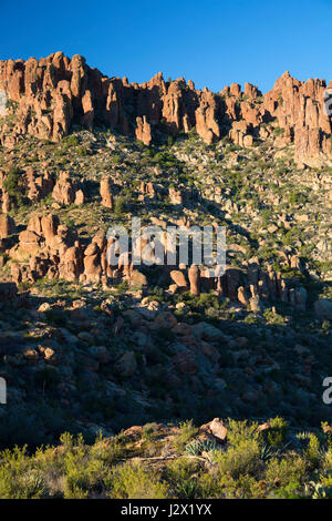 Vue du sentier Peralta, Superstition Désert, forêt nationale de Tonto, Arizona Banque D'Images