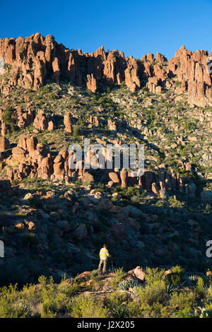 Vue du sentier Peralta, Superstition Désert, forêt nationale de Tonto, Arizona Banque D'Images