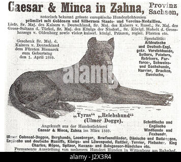 Bismarcksdogs1889 Banque D'Images