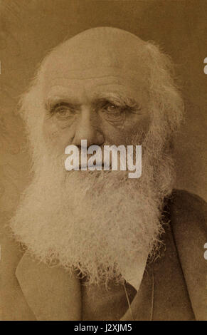 Ce portrait de Charles Darwin, capturé par Barraud vers 1881, présente le célèbre naturaliste anglais connu pour sa théorie de l'évolution. Les travaux de Darwin ont eu un impact profond sur le domaine de la biologie et sur notre compréhension de la sélection naturelle. Banque D'Images
