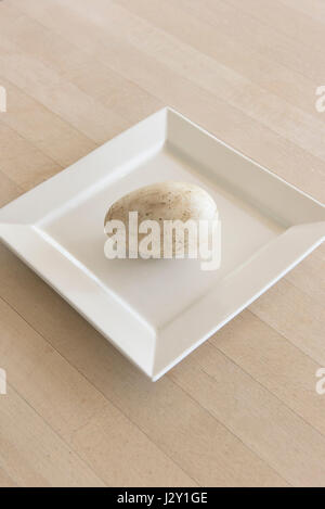 Un oeuf d'oie très frais sur une plaque sans les laver grand coquille naturelle Nature image minimaliste Banque D'Images