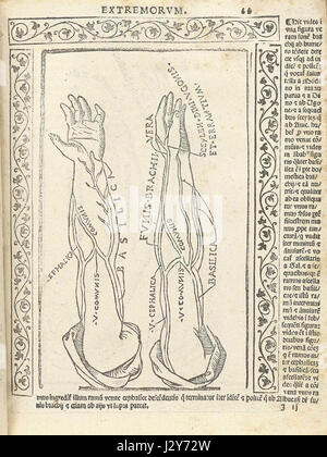 Il s'agit de la page 66r d'un manuscrit de Berengario, peut-être un texte médical ou historique, comportant d'importantes annotations ou illustrations de l'œuvre. Banque D'Images