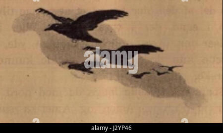 Ce titre fait référence à une plaque ou une œuvre spécifique de la collection BNN de Astrupâ€™, présentant probablement une œuvre d'art, une photographie ou une illustration identifiée comme 'p041', qui met en évidence un aspect notable de son style artistique. Banque D'Images