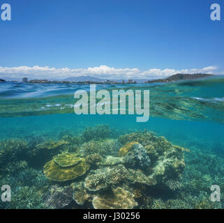 Plus de sous la surface de l'eau, beaux récifs de corail sous l'eau avec la ville de Nouméa à l'horizon, Grande-Terre, Nouvelle Calédonie, océan Pacifique sud Banque D'Images